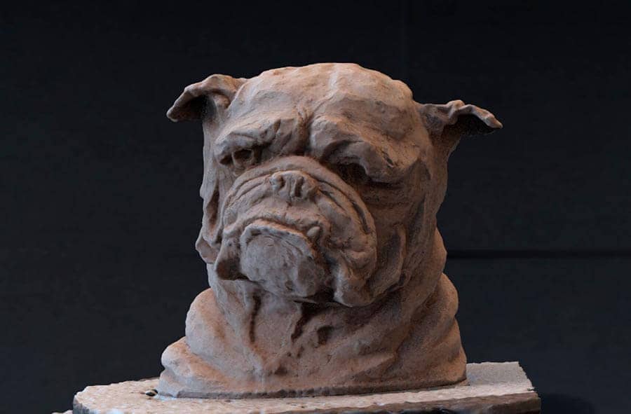 rendu 3D bulldog