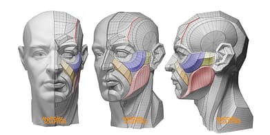 couverture sur les meilleurs livres d'anatomie pour la sculpture 3D