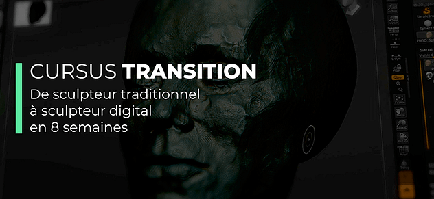 module 01 - cursus transition - nicolas delille module 01 - cursus transition - nicolas delille