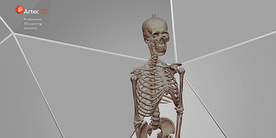 bannière de modèle 3D de squelette humain à télécharger gratuitement